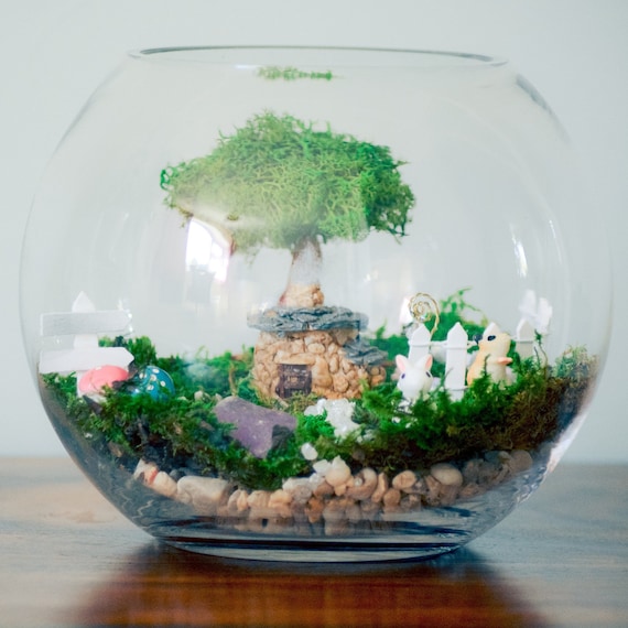 Buy Terrarium Kit, Terrarium Starter Kit, DIY Terrarium Kit With  Birthstones, Zodiac Sign Gift, Christmas Gifts, Fairy Garden Starter Kit,  Online in India 