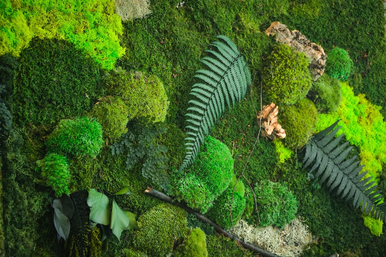 Moss Wall Art Set of Two Panels Moss Wall Art Living Wall Etsy UK