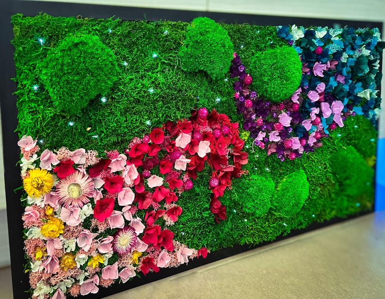 Handmade preserved moss wall art with LED fiber optic firefly lights, featuring vibrant real moss and dried flowers like hydrangeas in a customizable frame (black, white, wood, walnut). This no-maintenance, eco-friendly living wall decor enhances any space with nature’s beauty. Available in multiple sizes, perfect for homes, offices, or as a unique gift. Adds tranquility and organic elegance with lush, colorful moss and soft illumination