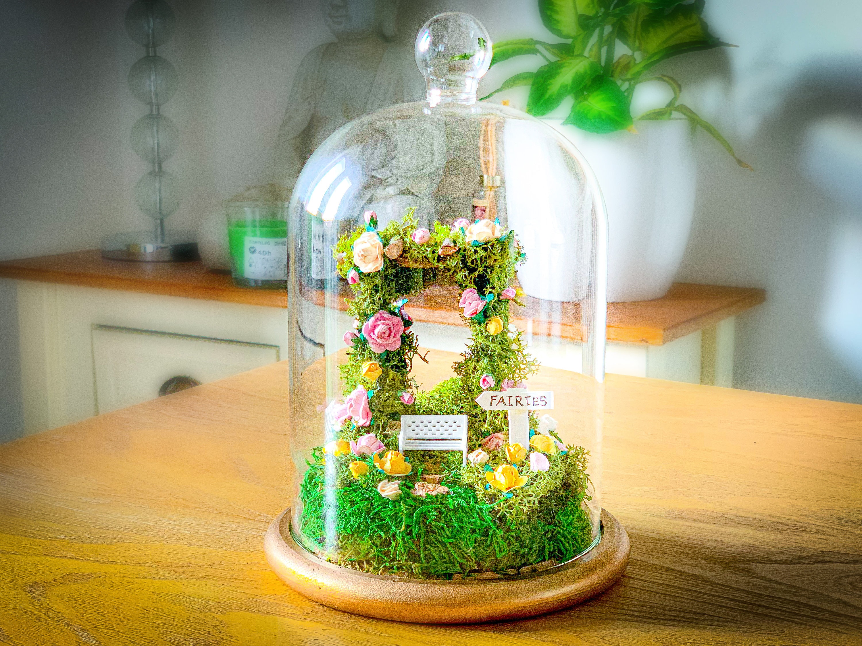 Moss terrarium  fairy garden kit RishStudio