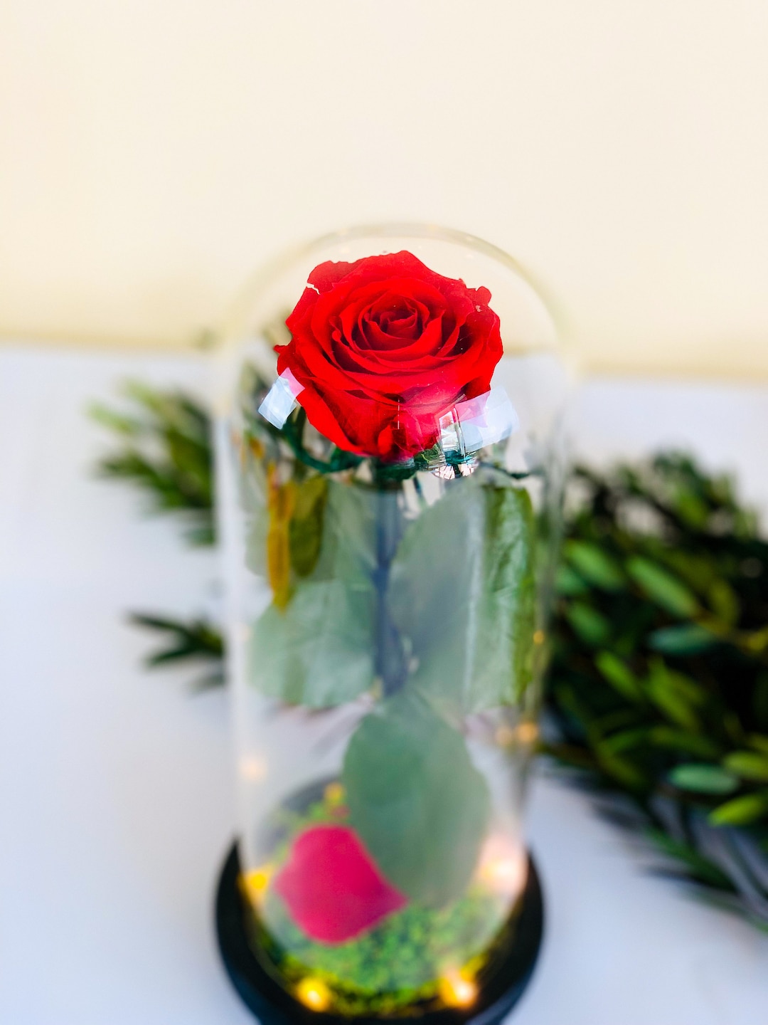 Beauty and the Beast Enchanted Rose, Rose in Glass Dome, Gift for Her