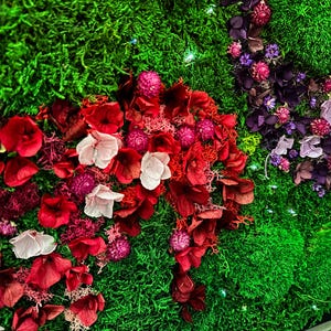 Handmade preserved moss wall art with LED fiber optic firefly lights, featuring vibrant real moss and dried flowers like hydrangeas in a customizable frame (black, white, wood, walnut). This no-maintenance, eco-friendly living wall decor enhances any space with nature’s beauty. Available in multiple sizes, perfect for homes, offices, or as a unique gift. Adds tranquility and organic elegance with lush, colorful moss and soft illumination