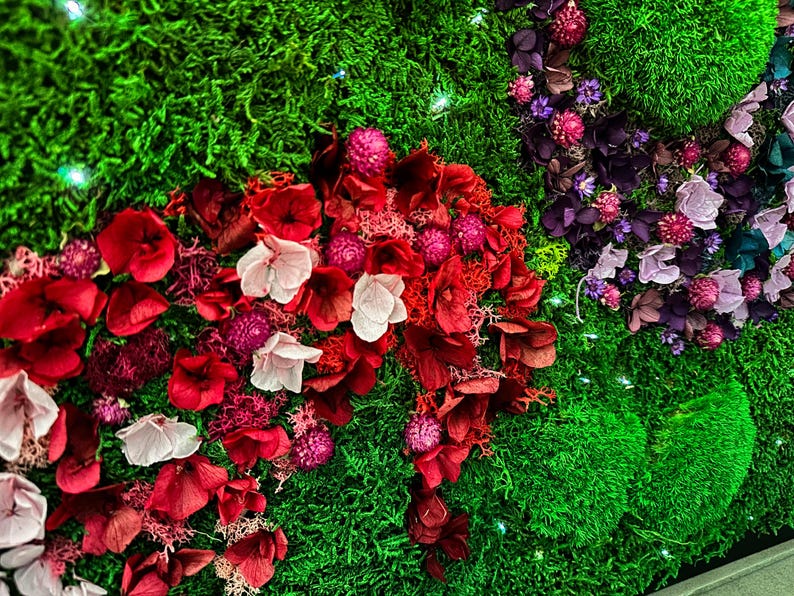 Handmade preserved moss wall art with LED fiber optic firefly lights, featuring vibrant real moss and dried flowers like hydrangeas in a customizable frame (black, white, wood, walnut). This no-maintenance, eco-friendly living wall decor enhances any space with nature’s beauty. Available in multiple sizes, perfect for homes, offices, or as a unique gift. Adds tranquility and organic elegance with lush, colorful moss and soft illumination