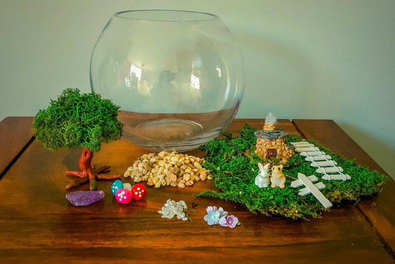 DIY terrarium kit DIY Terrarium starter kit DIY terrarium Etsy