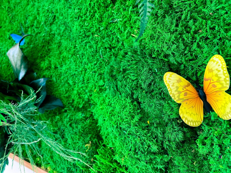 Moss Wall Art Preserved Moss Wall Deer Antler Wall Plaque Etsy UK