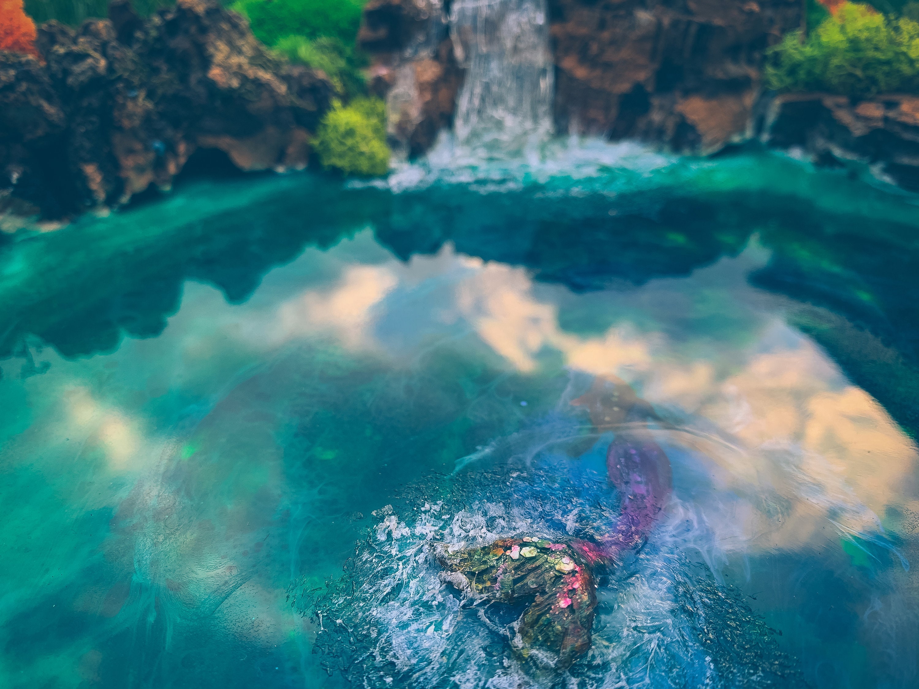 Moss Art Moss Wall Art Preserved Moss Wall Resin Seascape Etsy Canada