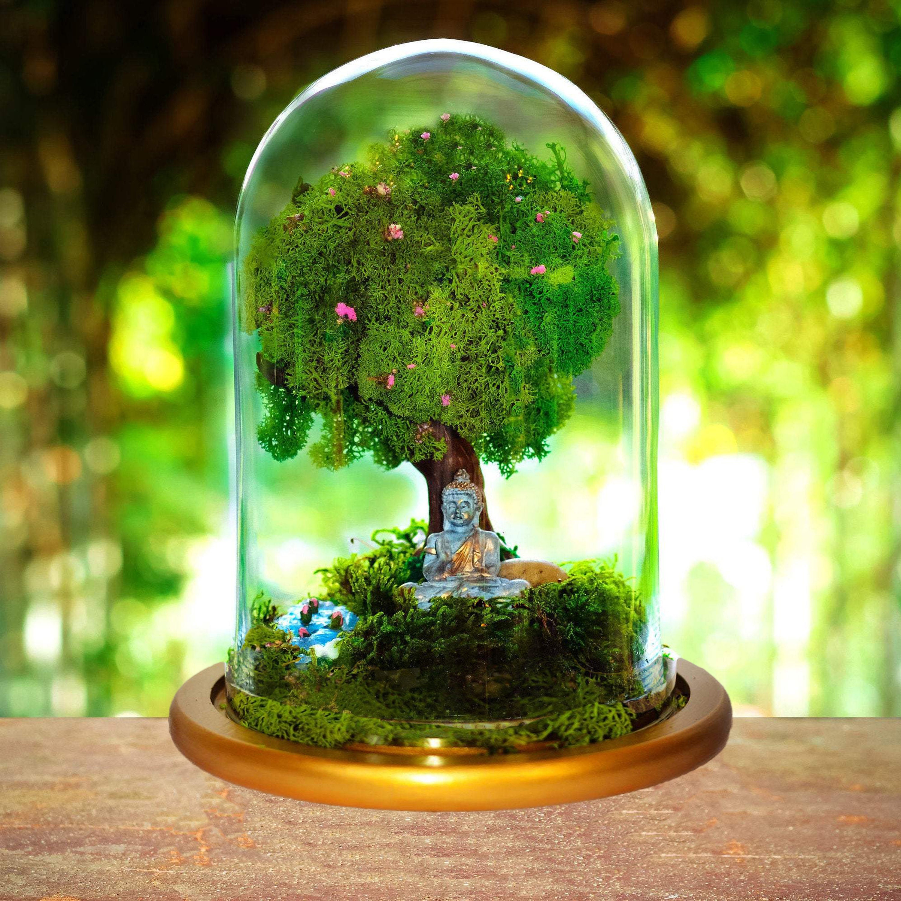 Buddha Terrarium Kit Buddhas Buddha Gift Moss Terrarium Etsy UK