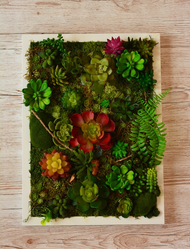 Moss Wall art Succulent wall art succulent gifts succulent
