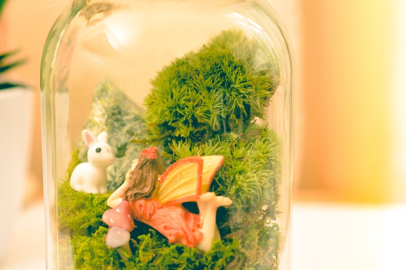 Terrarium Kit Mason Jar Terrarium Preserved Moss Terrarium Etsy UK