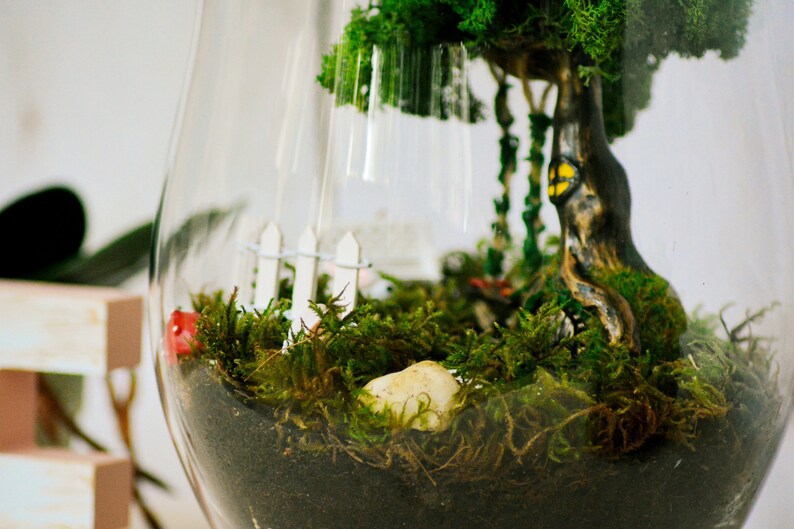 Miniatur-Frosch Auf Stein Für Feengarten – 4,4 Cm, Handbemalt, Aus Kunstharz