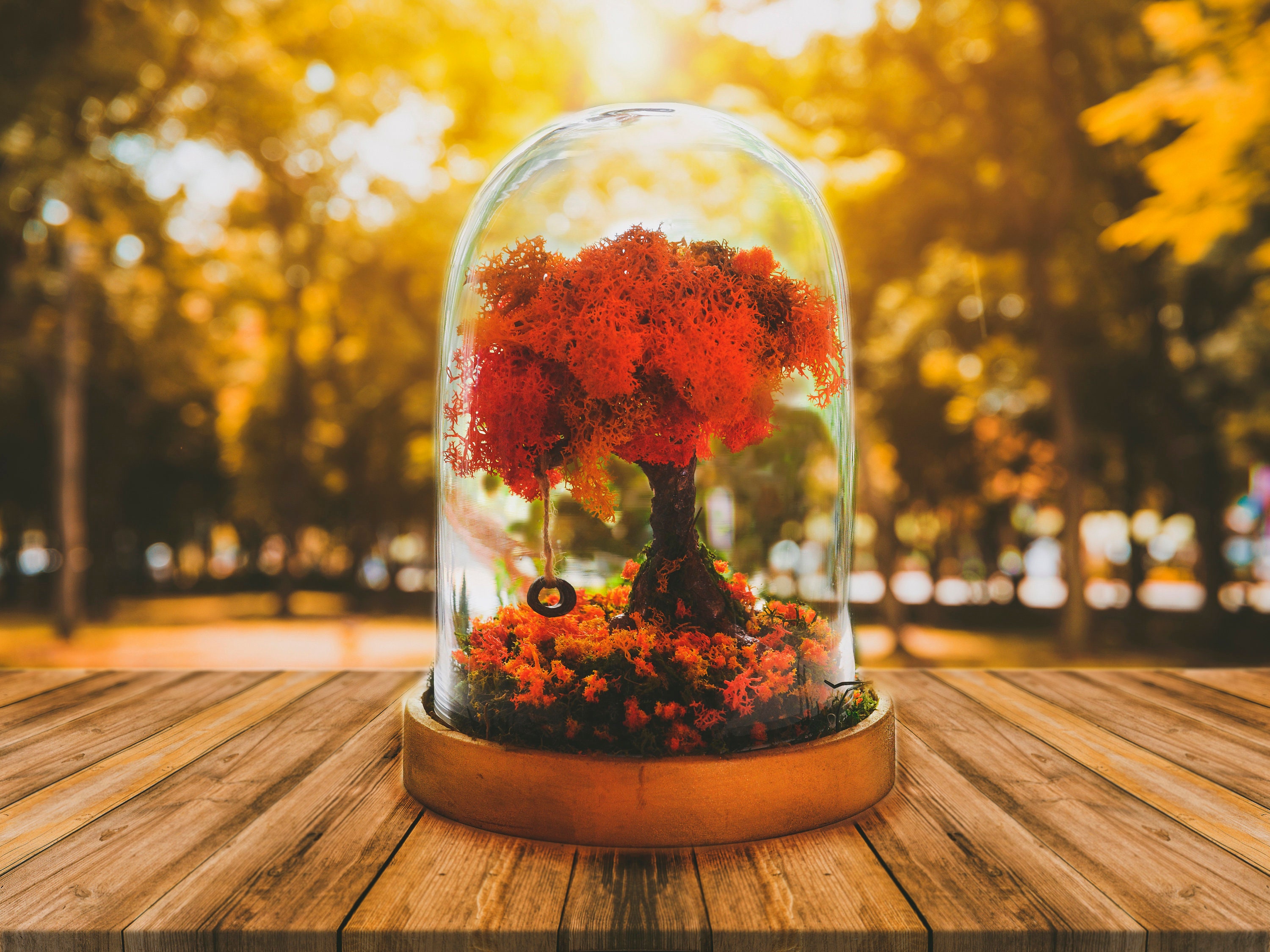 Kit de Terrarium d'automne, Décorations Feuilles Décor Jardin Fées avec Balançoire, Mariage d'automn