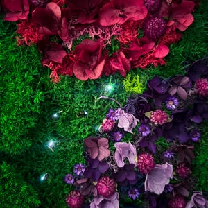 Handmade preserved moss wall art with LED fiber optic firefly lights, featuring vibrant real moss and dried flowers like hydrangeas in a customizable frame (black, white, wood, walnut). This no-maintenance, eco-friendly living wall decor enhances any space with nature’s beauty. Available in multiple sizes, perfect for homes, offices, or as a unique gift. Adds tranquility and organic elegance with lush, colorful moss and soft illumination