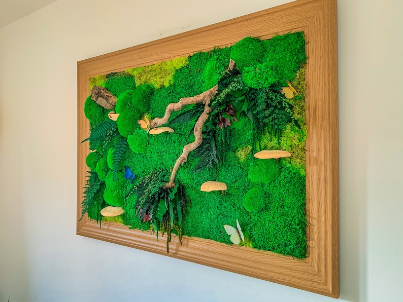 Moss wall art, Moss wall with Mushrooms, Moss Walls, Preserved moss Wall, mushroom wall art, Moss Art, Moss art panel, Moss Wall Decor, image 7