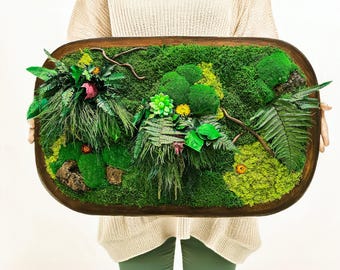 Irregular Oval Moss Wall Art: Preserved Greenery, Solid Oak Frame, Botanical Painting