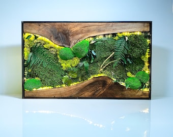 Handmade Olive Wood Moss Wall Art with LED Light, Large Moss Panel
