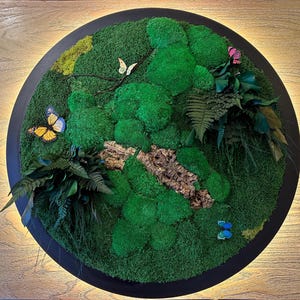 Framed Moss Wall Art with LED Light: Tropical Home Decor with Butterflies image 13