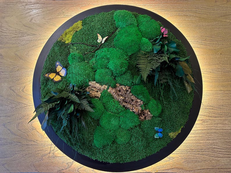 Framed Moss Wall Art with LED Light: Tropical Home Decor with Butterflies image 13