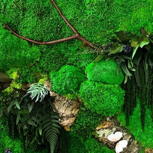 May include: A green moss wall art piece with a brown branch, a variety of green plants, and a white butterfly.