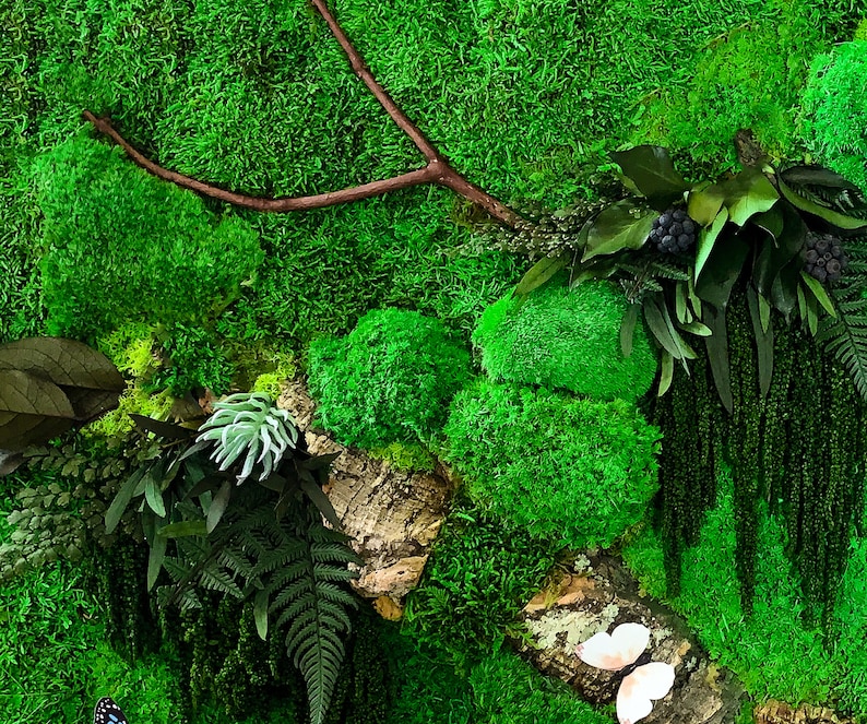 May include: A green moss wall art piece with a brown branch, a variety of green plants, and a white butterfly.