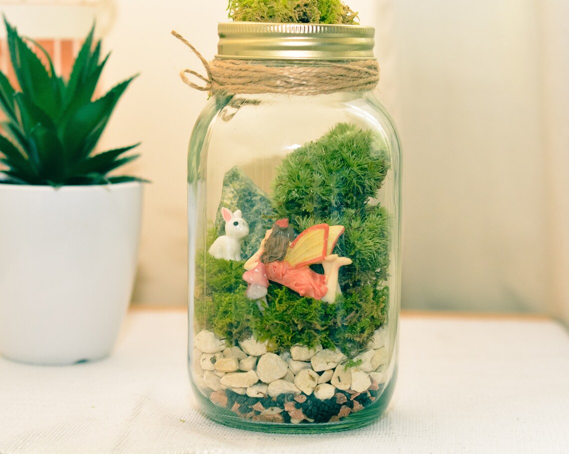 Terrarium kit Mason jar Terrarium Preserved Moss Terrarium Etsy