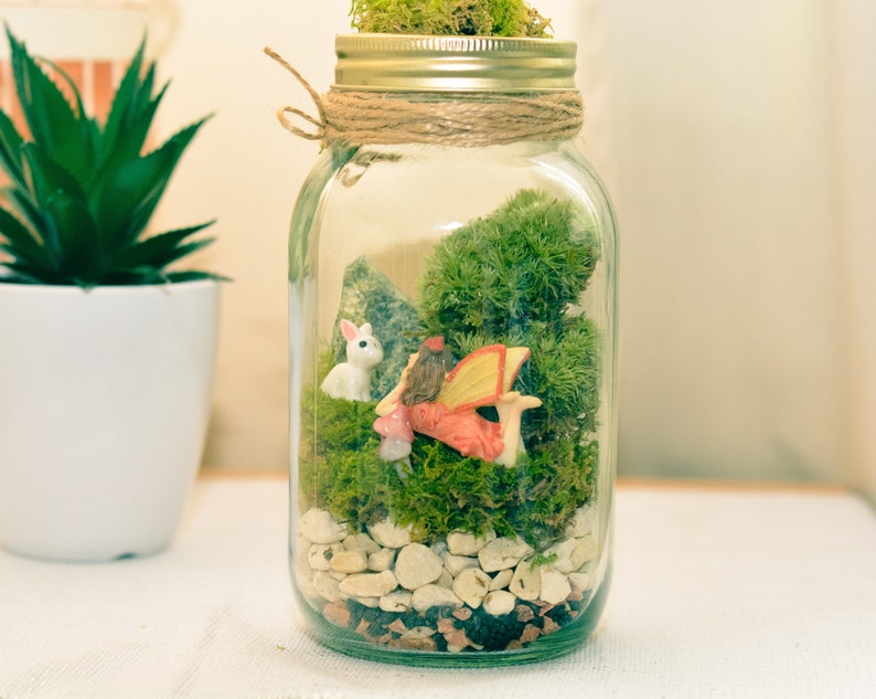 Terrarium Kit Mason Jar Terrarium Preserved Moss Terrarium Etsy Denmark