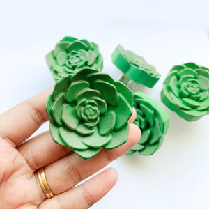 Succulent Drawer Pulls: Handmade Resin Cactus Knobs