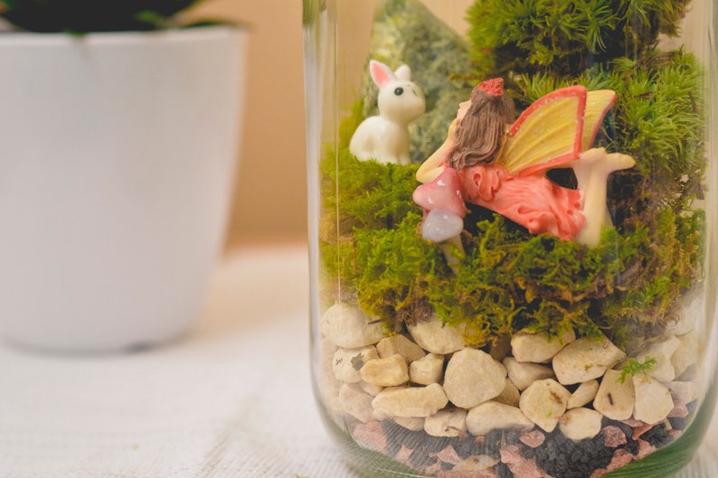Terrarium Kit Mason Jar Terrarium Preserved Moss Terrarium Etsy UK