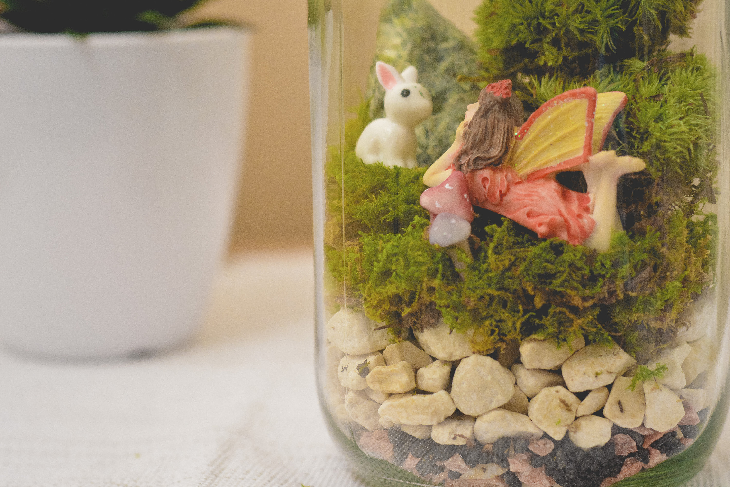 Terrarium Kit Mason Jar Terrarium Preserved Moss Terrarium Etsy UK