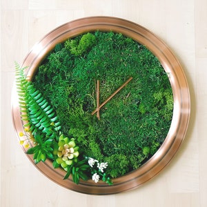 Könnte beinhalten: Eine kupferfarbene Uhr mit einem grünen Moos-Zifferblatt und goldfarbenen Zeigern. Die Uhr ist von kleinen grünen Pflanzen und Farnen umgeben.