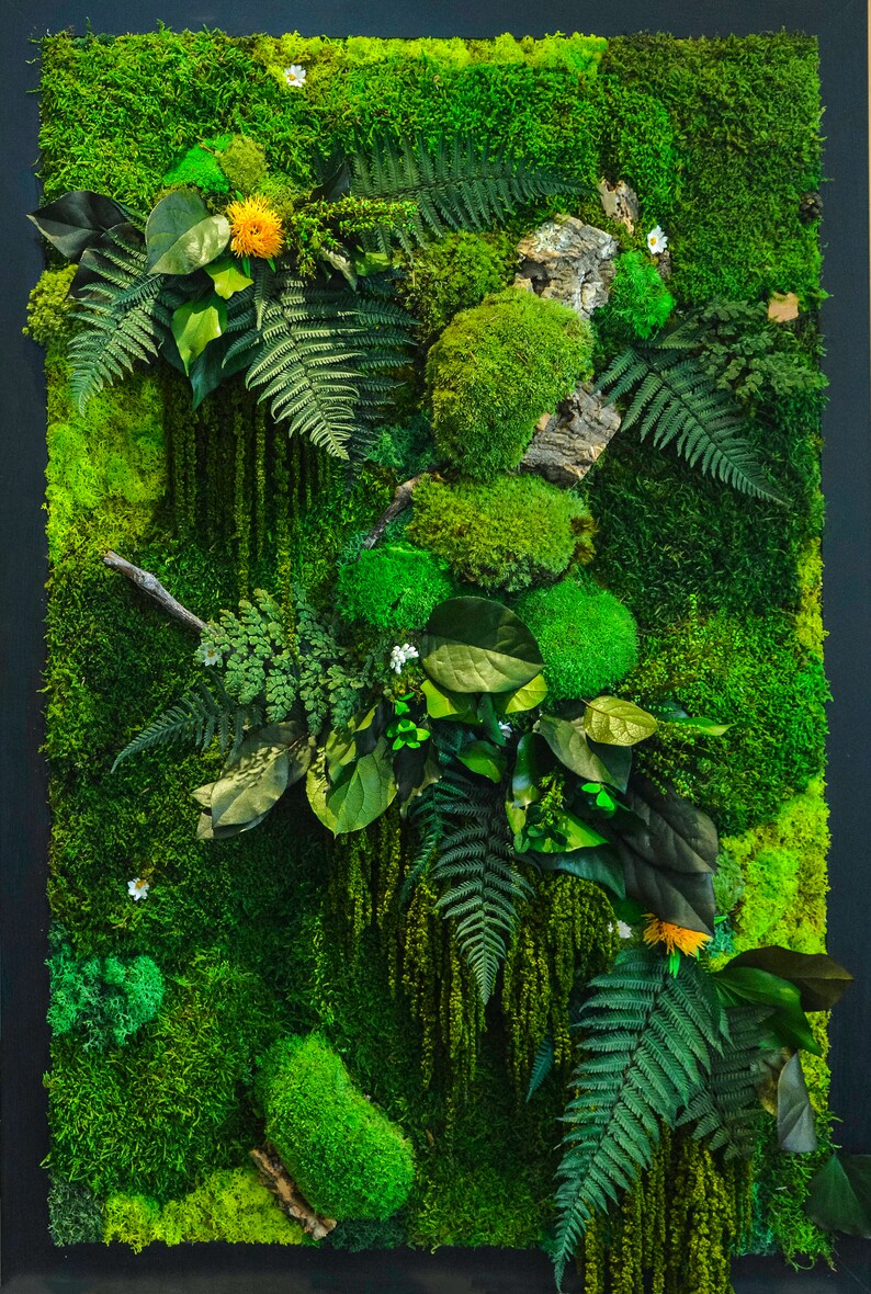 Moss Wall Art Preserved Moss Wall Preserved Moss Art Etsy