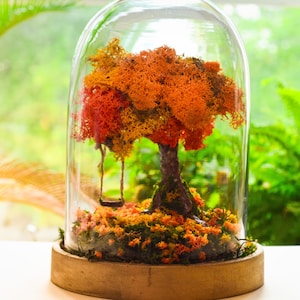 Autumn Terrarium, Autumn home decor, Autumn Leaves, Autumn wreath, Autumn wedding, Christmas gifts, Fall Decor, Autumn, Fall Decor, Fall, image 5