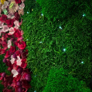 Handmade preserved moss wall art with LED fiber optic firefly lights, featuring vibrant real moss and dried flowers like hydrangeas in a customizable frame (black, white, wood, walnut). This no-maintenance, eco-friendly living wall decor enhances any space with nature’s beauty. Available in multiple sizes, perfect for homes, offices, or as a unique gift. Adds tranquility and organic elegance with lush, colorful moss and soft illumination
