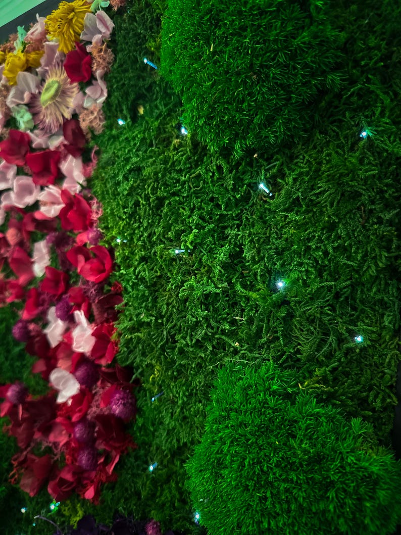 Handmade preserved moss wall art with LED fiber optic firefly lights, featuring vibrant real moss and dried flowers like hydrangeas in a customizable frame (black, white, wood, walnut). This no-maintenance, eco-friendly living wall decor enhances any space with nature’s beauty. Available in multiple sizes, perfect for homes, offices, or as a unique gift. Adds tranquility and organic elegance with lush, colorful moss and soft illumination
