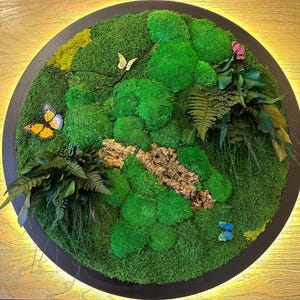 Framed Moss Wall Art with LED Light: Tropical Home Decor with Butterflies image 12