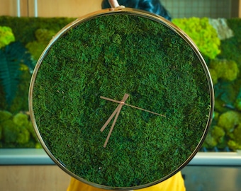 Deliberadamente Hormiga exprimir Relojes Reloj de musgo Reloj de cocina Reloj de pared - Etsy España Deliberadamente Hormiga exprimir Relojes Reloj de musgo Reloj de cocina Reloj de pared - Etsy España
