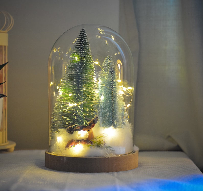 Christmas Terrarium Kit Glass Dome With Fairy Lights Etsy