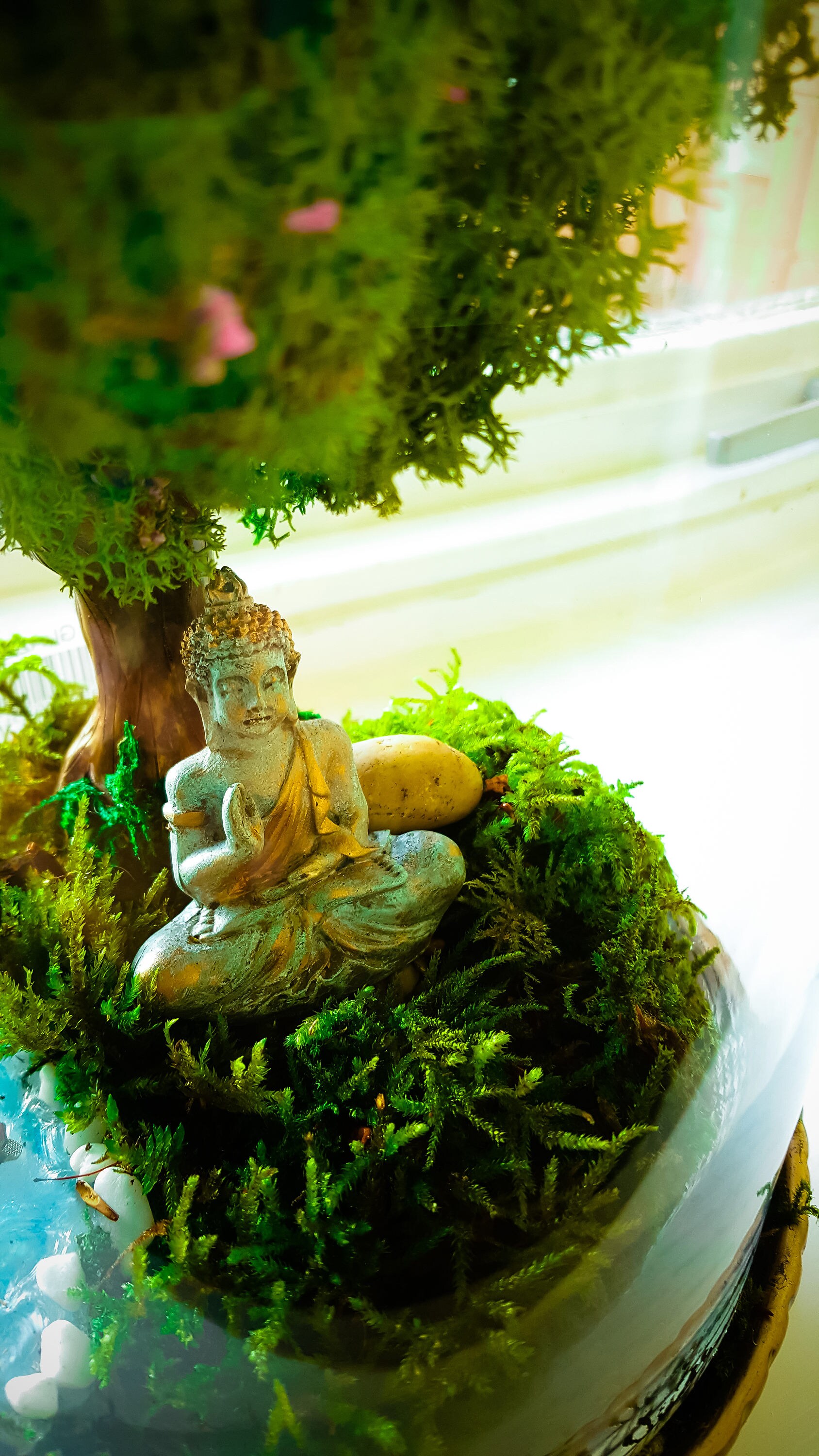 Buddha Terrarium Kit Buddhas Buddha Gift Moss Terrarium Etsy UK