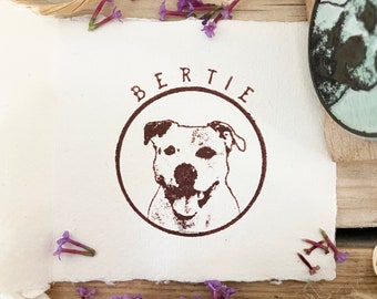 Timbro per animali domestici / Timbro in gomma per animali / Timbro in gomma personalizzato / Timbro in gomma personalizzato