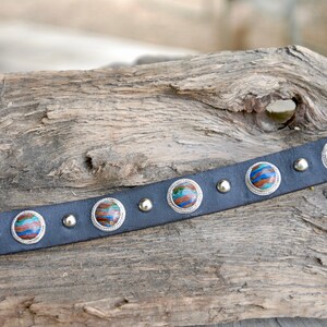 Rainbow Calsilica Dog Collar