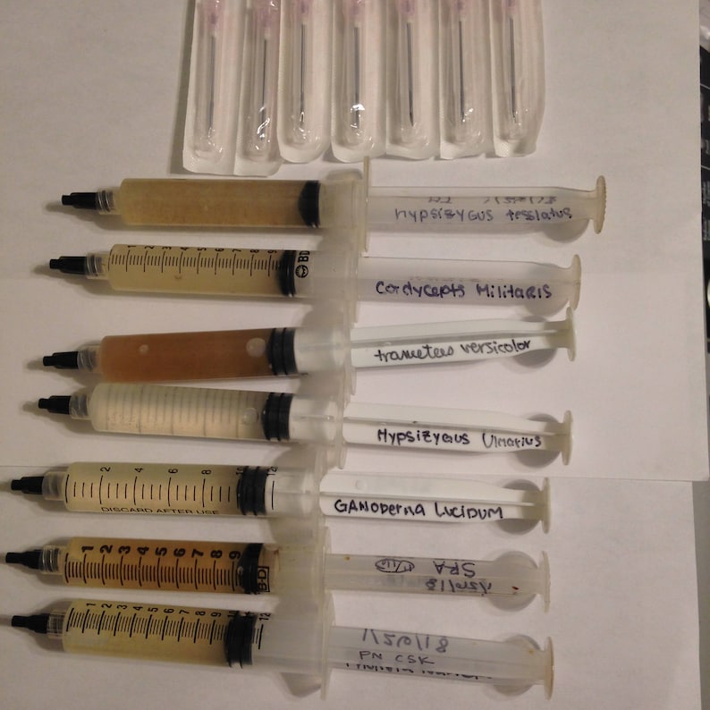 Liquid Culture Syringes Mushroom cultures 10cc Luer Lock Etsy