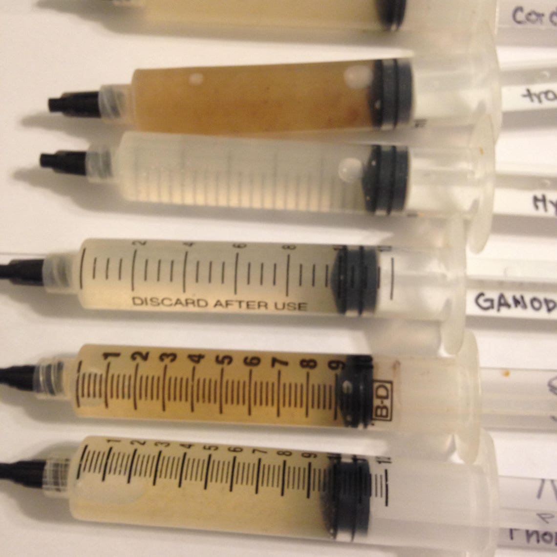 Liquid Culture Syringes Mushroom cultures 10cc Luer Lock Etsy