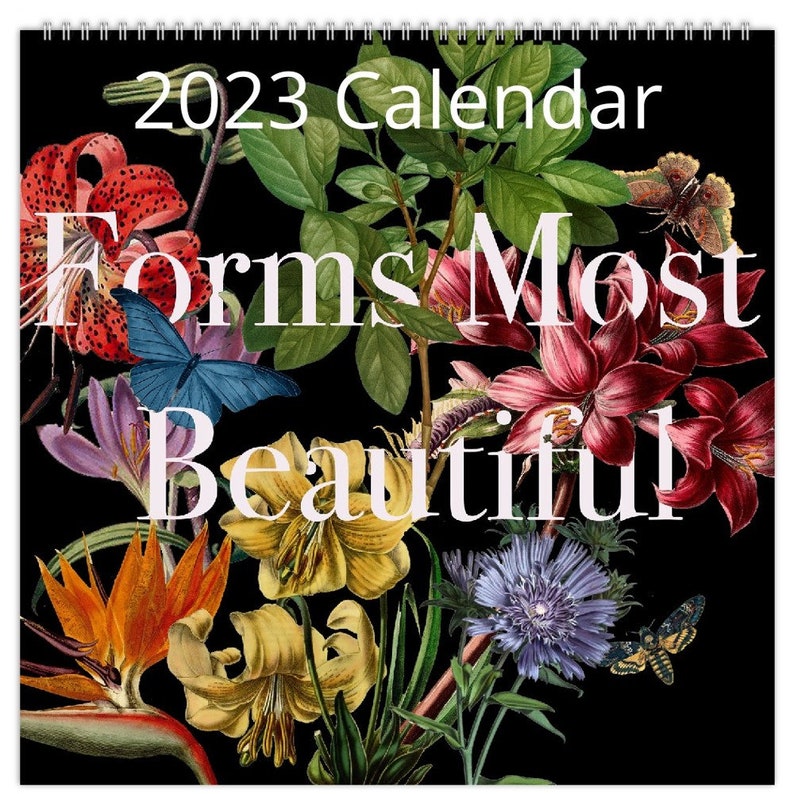 Anatomical Art Wall Calendar Unique Wall Calendars Cool Etsy