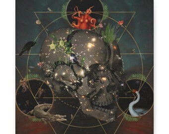 Lienzo con ilustración de calavera celestial