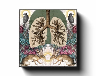 Botanical Wall Art, Anatomical Art, Gallery Wall Art, Science Illustration, Medical Decor, Bunny Art, Organ Art, Greys Anatomy, Science Art