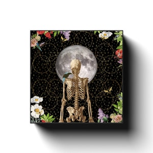 Canvas Wraps "Star Gazer" skeleton art, medical illustration wall decor, vintage nature home decor, wall art, starry night wall art