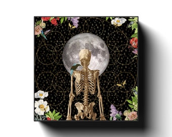 Canvas Wraps "Star Gazer" skeleton art, medical illustration wall decor, vintage nature home decor, wall art, starry night wall art