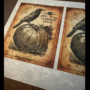 May include: Two rectangular prints featuring a sepia-toned illustration of a crow perched on a large pumpkin. The text reads 1864 Olde Crow PUMPKIN PATCH. The design has a distressed, aged appearance with dark brown borders and decorative corner accents.