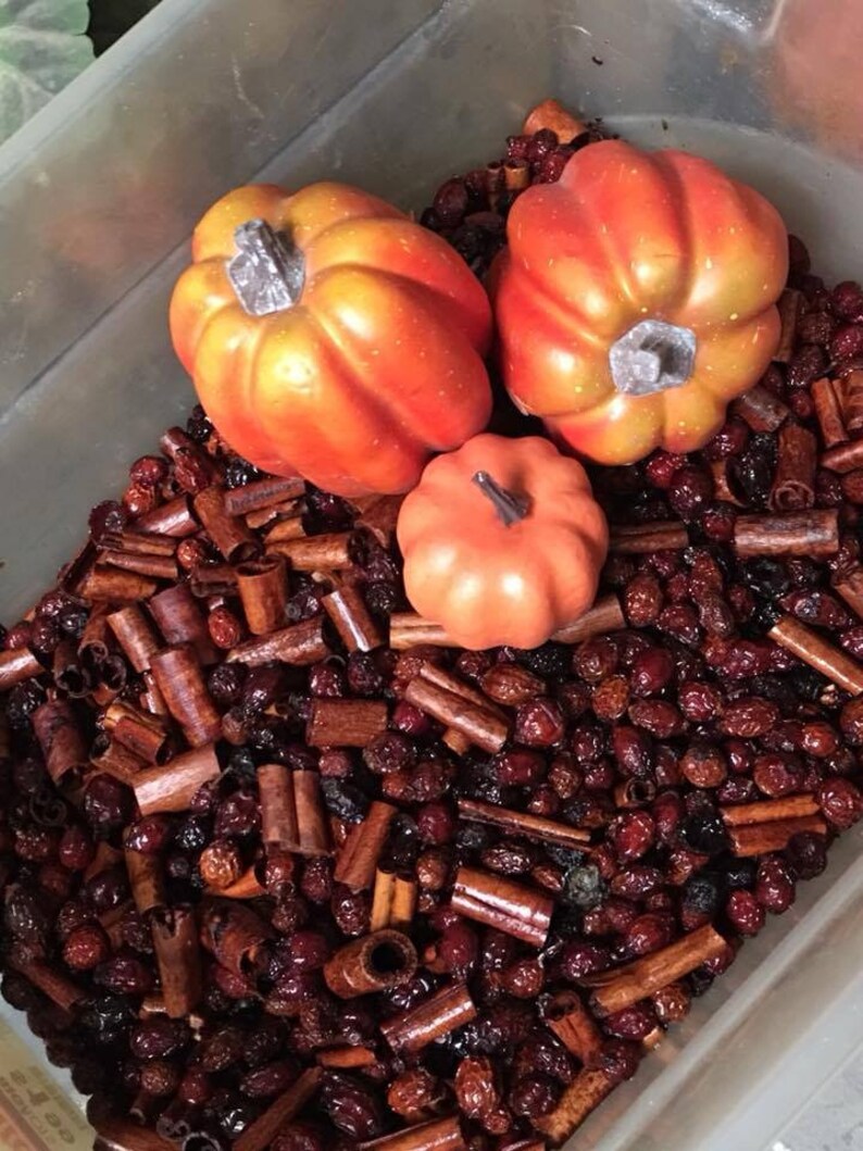 Pumpkin Spice Rose Hips W/ Cinnamon Bulk HIGHLY SCENTED W/ Etsy