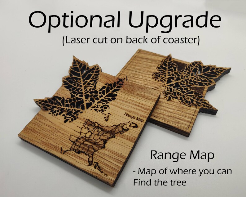 Anatomically correct leaf coasters Wooden Leaf Laser cut Leaf Coasters