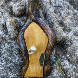 May include: A small wooden door with a white knob and a brass hinge, set into a tree trunk. The door is painted a light brown color and has a natural wood finish.